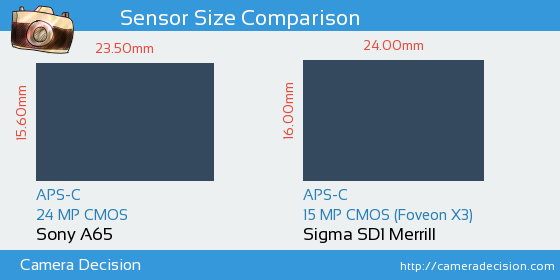Sony A65 vs Sigma SD1 Merrill Sensor Size Comparison