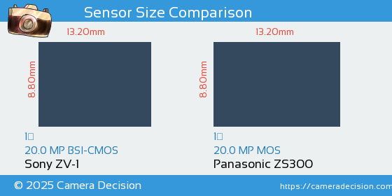 Sony ZV-1 vs Panasonic ZS300 Sensor Size Comparison
